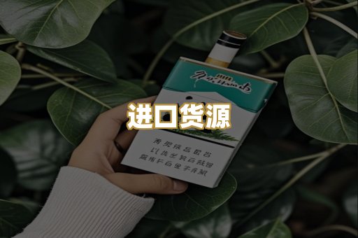 进口货源
